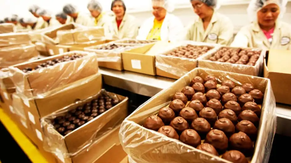 100921753-135399943r.jpg?v=1532564656&w=929&h=523