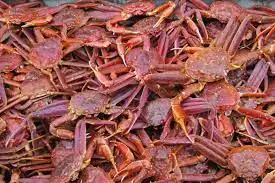 다운로드 (6).jfif