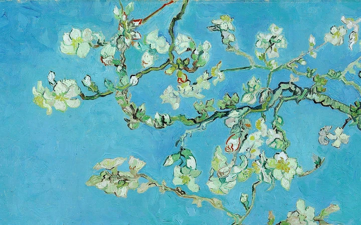 TS8jS0mUUOdK81tWwFzV8rw9XOo