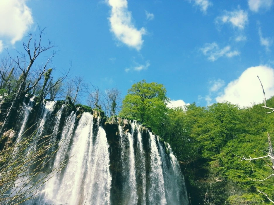 20130428100520418.jpg?type=w1