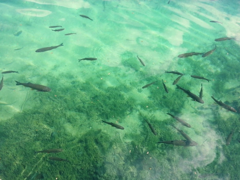 20130428104913943.jpg?type=w1