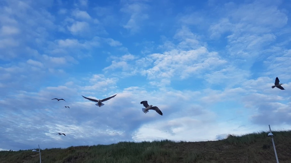 KakaoTalk_20210604_171214161_26.jpg?type=w1