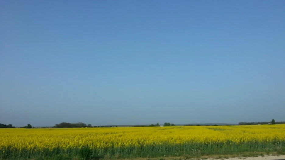 20130501_175452.jpg?type=w1