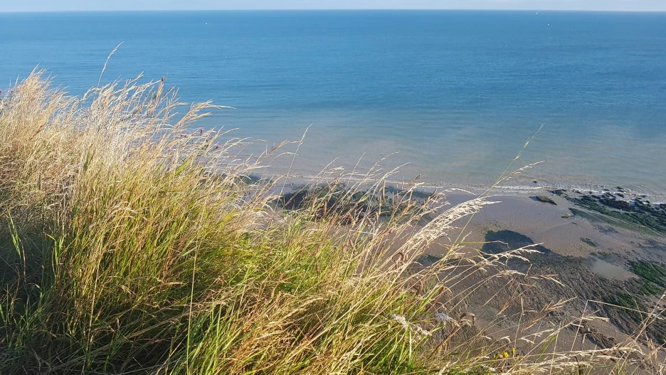 KakaoTalk_20210626_123610299_18.jpg?type=w1