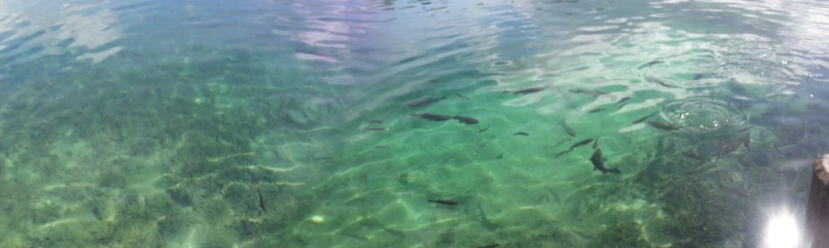 20130428_104536.jpg?type=w1