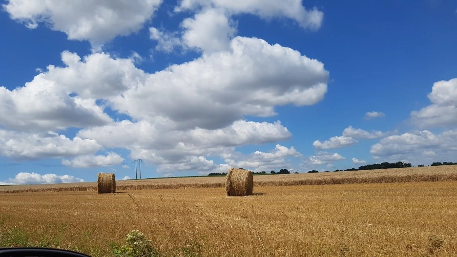 KakaoTalk_20210626_123610299_02.jpg?type=w1