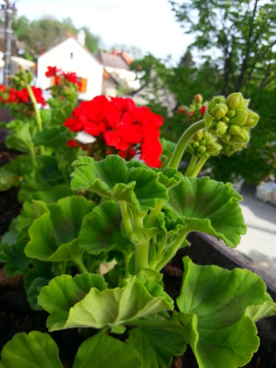 20130501164241434.jpg?type=w1