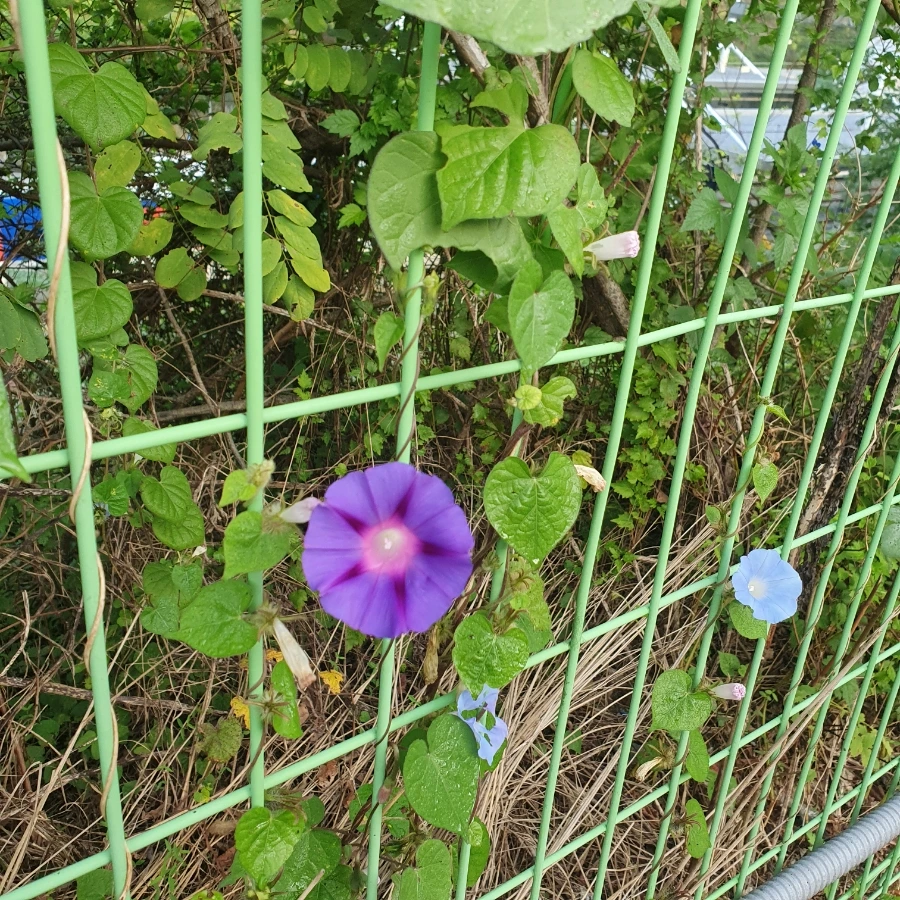 20241012%EF%BC%BF072459.jpg?type=w1