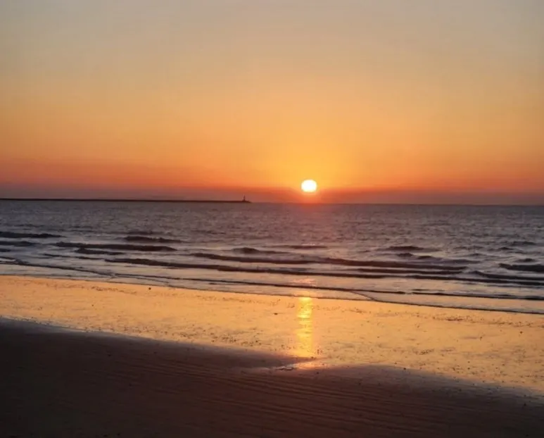 img1.daumcdn-2.jpg?type=w773