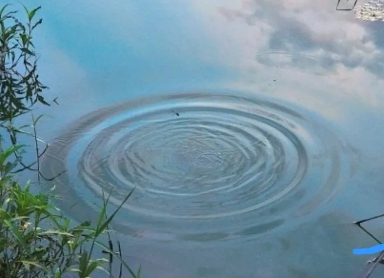 download_(25).jpeg?type=w773