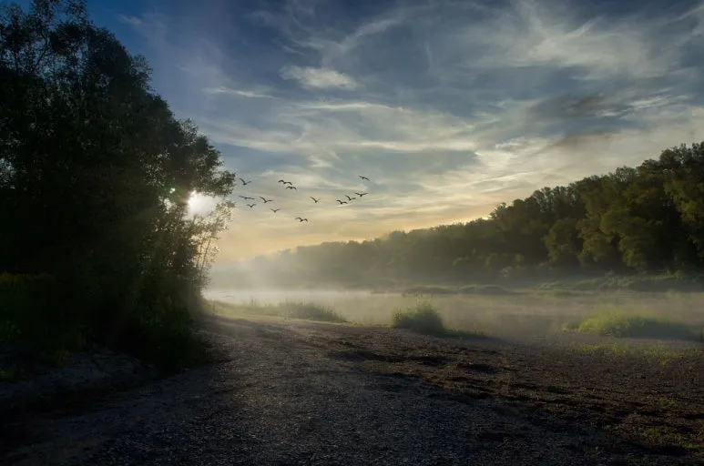 morning-5496194_1280.jpg?type=w773