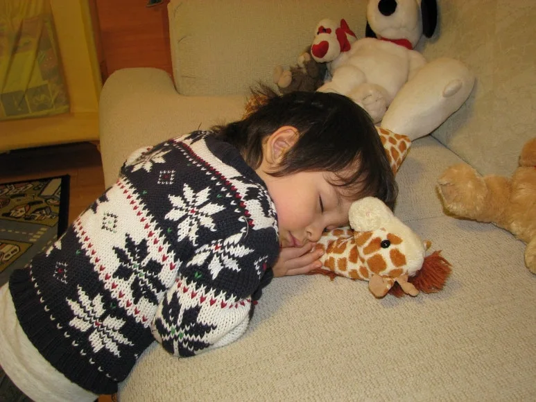 sleeping-824601_1280.jpg?type=w773