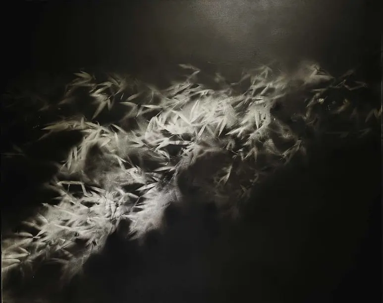 download_(24).jpeg?type=w773