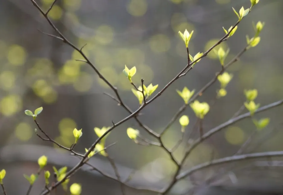 img1.daumcdn-1.jpg?type=w1