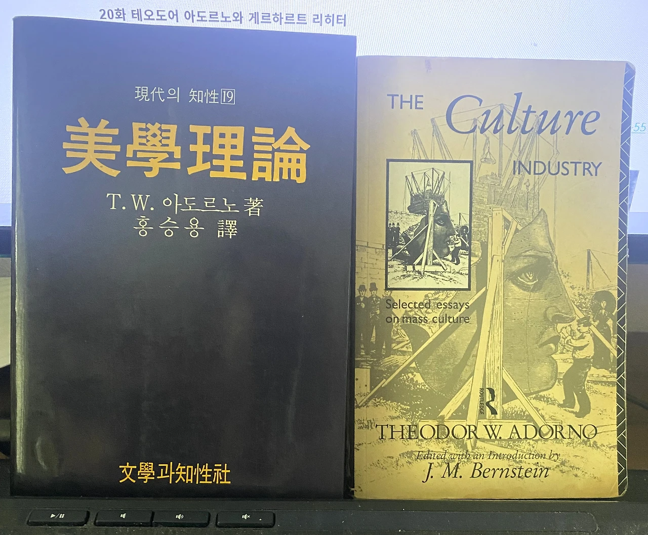 아도르노1.jpeg
