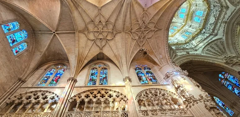 SE-c74d89cc-f50a-4ea1-9dec-c4e6fd9542f9.jpg?type=w773