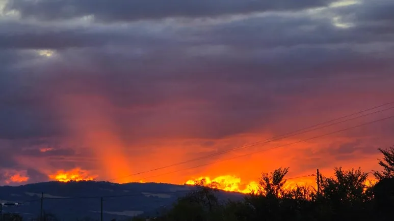 SE-07f6554c-6fc3-4eee-89c5-e75f7ef82352.jpg?type=w773