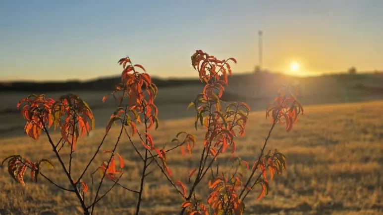 1759721618598.jpg?type=w773