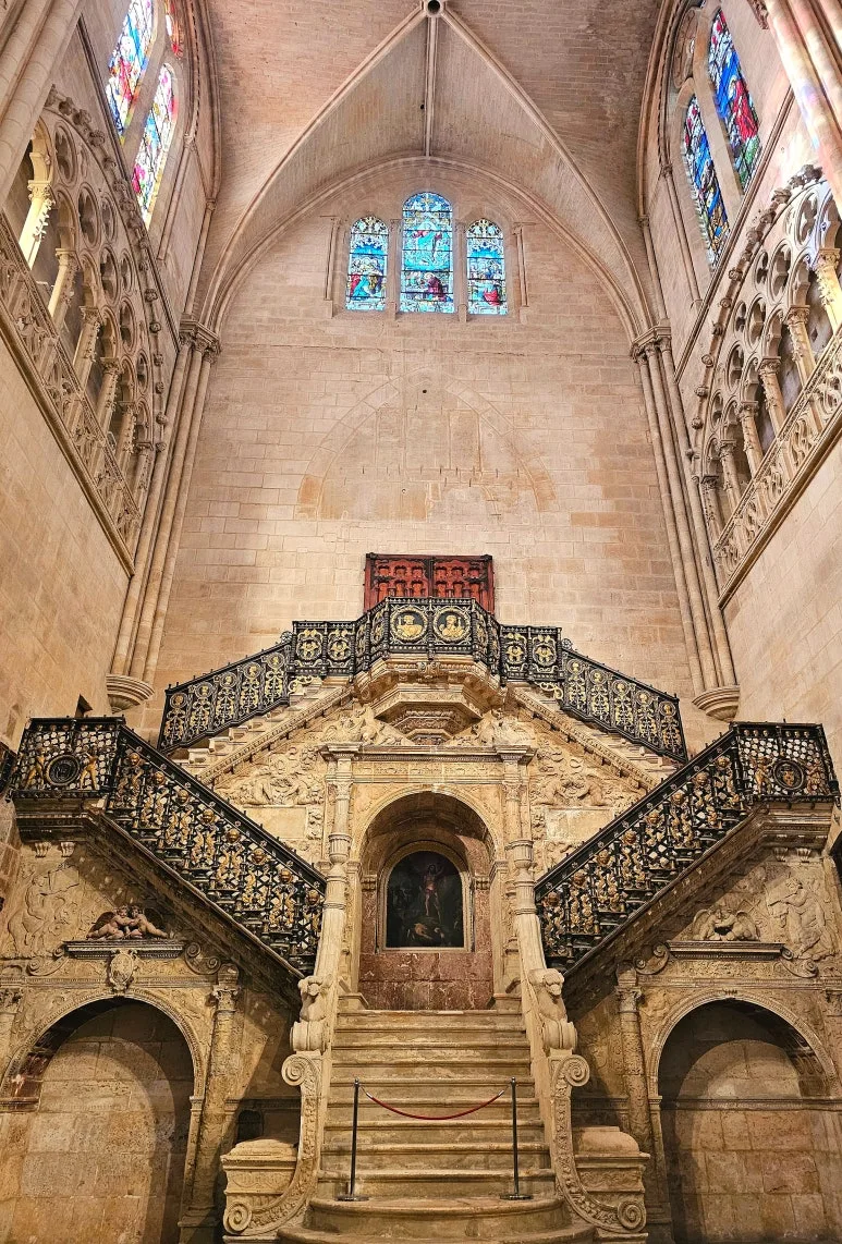 SE-b8af15a1-95ab-41f9-9003-a96e3292a3ca.jpg?type=w773