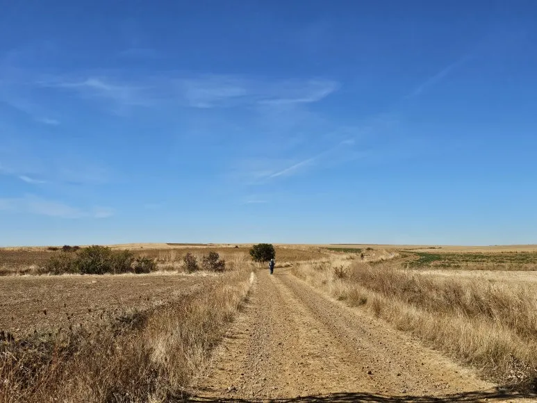 20251004_131649.jpg?type=w773