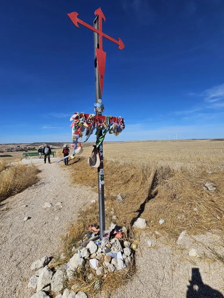 20251001_124417.jpg?type=w773