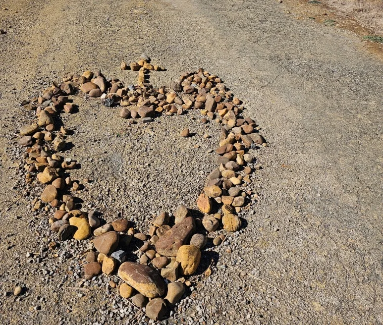 SE-7f8dcdce-1960-4480-ae9e-8b030e5cfdb9.jpg?type=w773