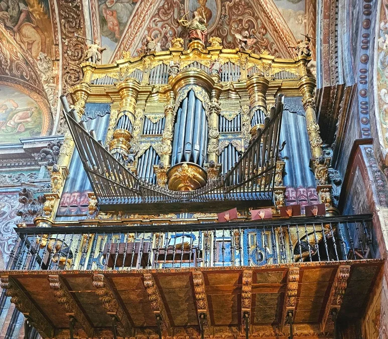 SE-75302a91-9510-462f-8d15-7337c3fee65c.jpg?type=w773