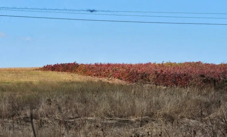 SE-99929d0c-fac9-4300-b148-b0aa8bb97bab.jpg?type=w773