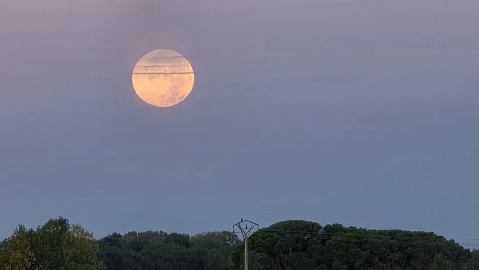 1759859020499.jpg?type=w1