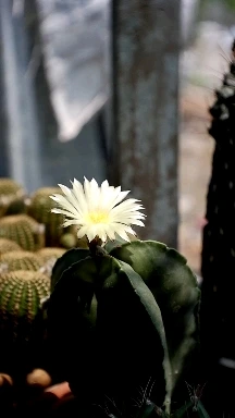 4179183_uploaded_8691015.jpg?type=w1