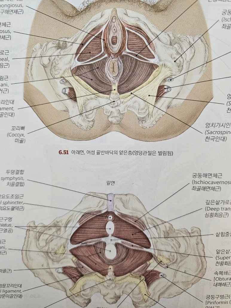 20240211%EF%BC%BF192943.jpg?type=w773