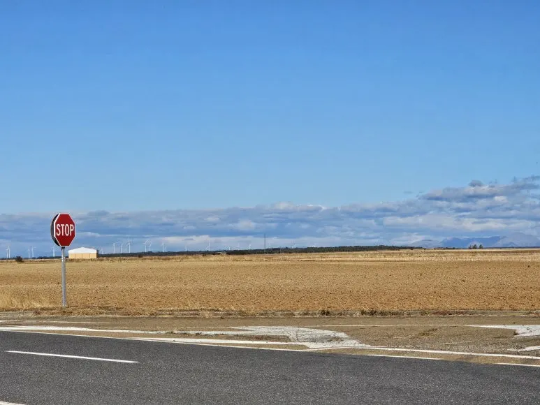 20251004_123902.jpg?type=w773