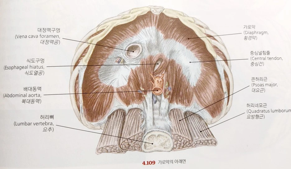 KakaoTalk_20230618_074625893_02.jpg?type=w1