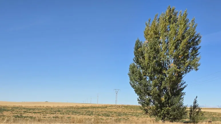 1759692798254.jpg?type=w773