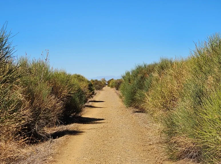 SE-f091925a-280d-46a1-a380-8286ec9beeaf.jpg?type=w773