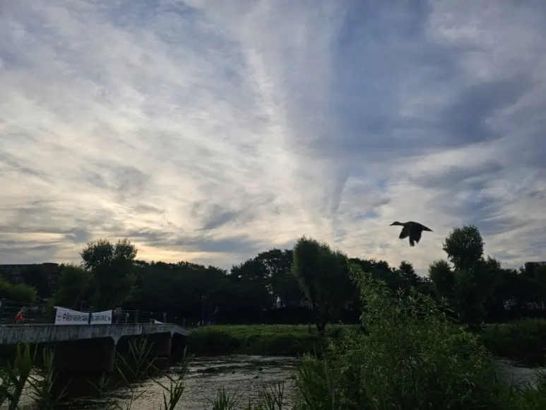 900%EF%BC%BF20250713%EF%BC%BF055834.jpg?type=w773