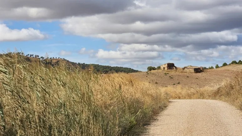 KakaoTalk_20251109_212226027_05.jpg?type=w773