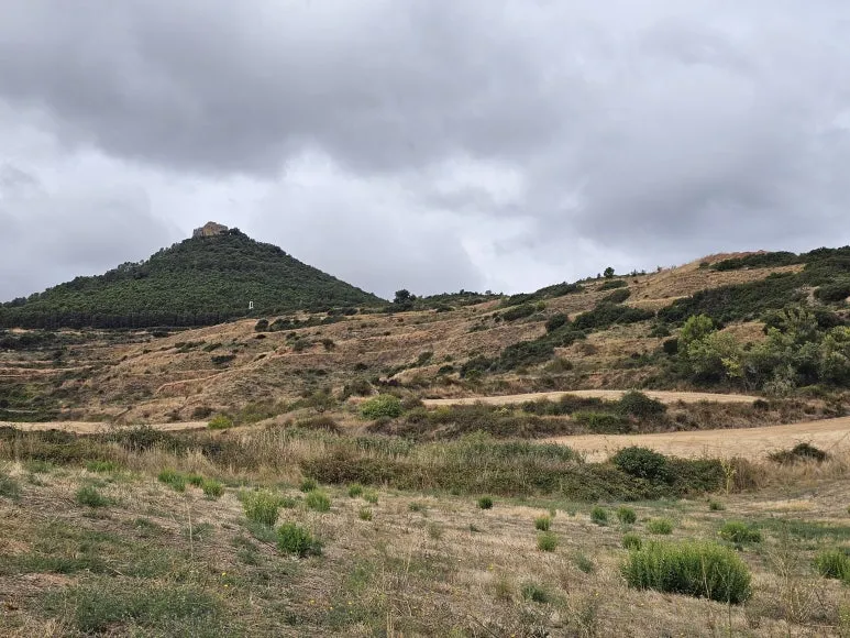 20250924_123105.jpg?type=w773