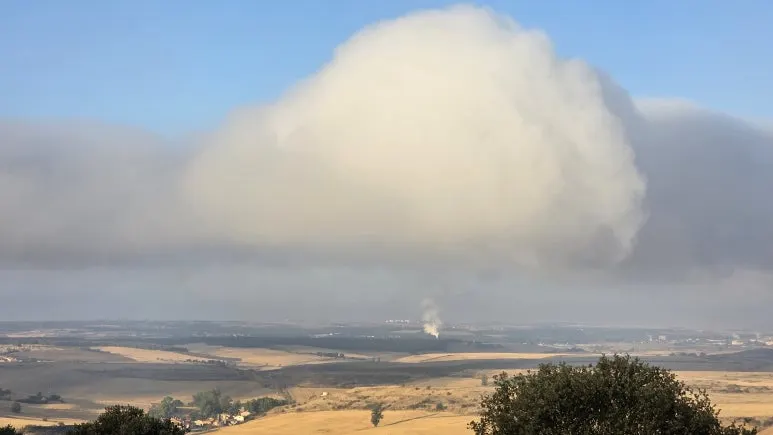 1759256803517.jpg?type=w773