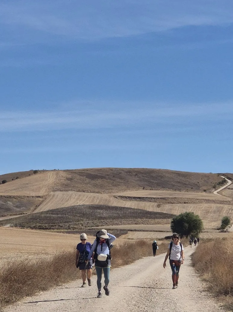 1759416038235.jpg?type=w773