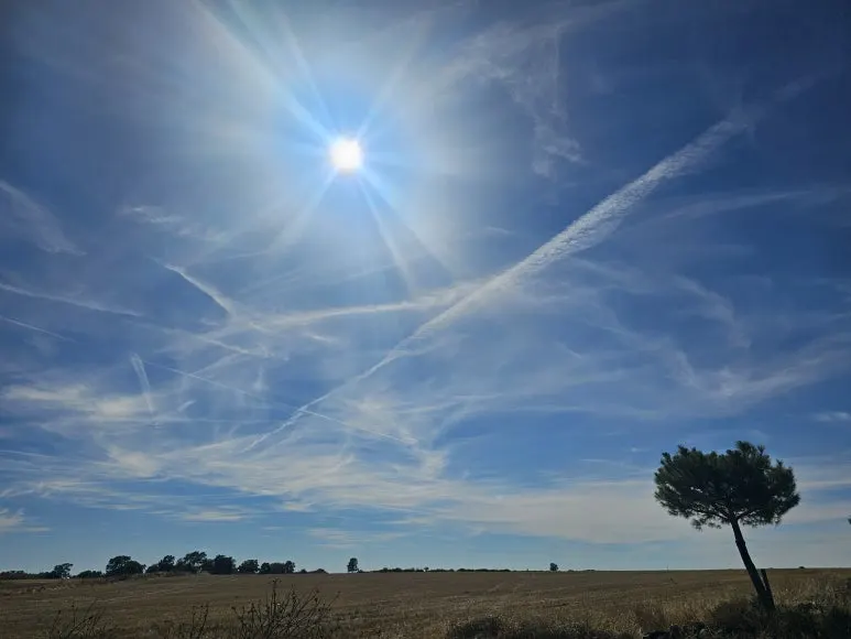 20251001_153804.jpg?type=w773