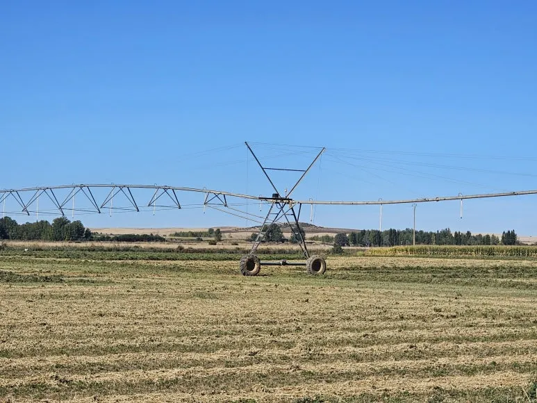 20251002_115216.jpg?type=w773