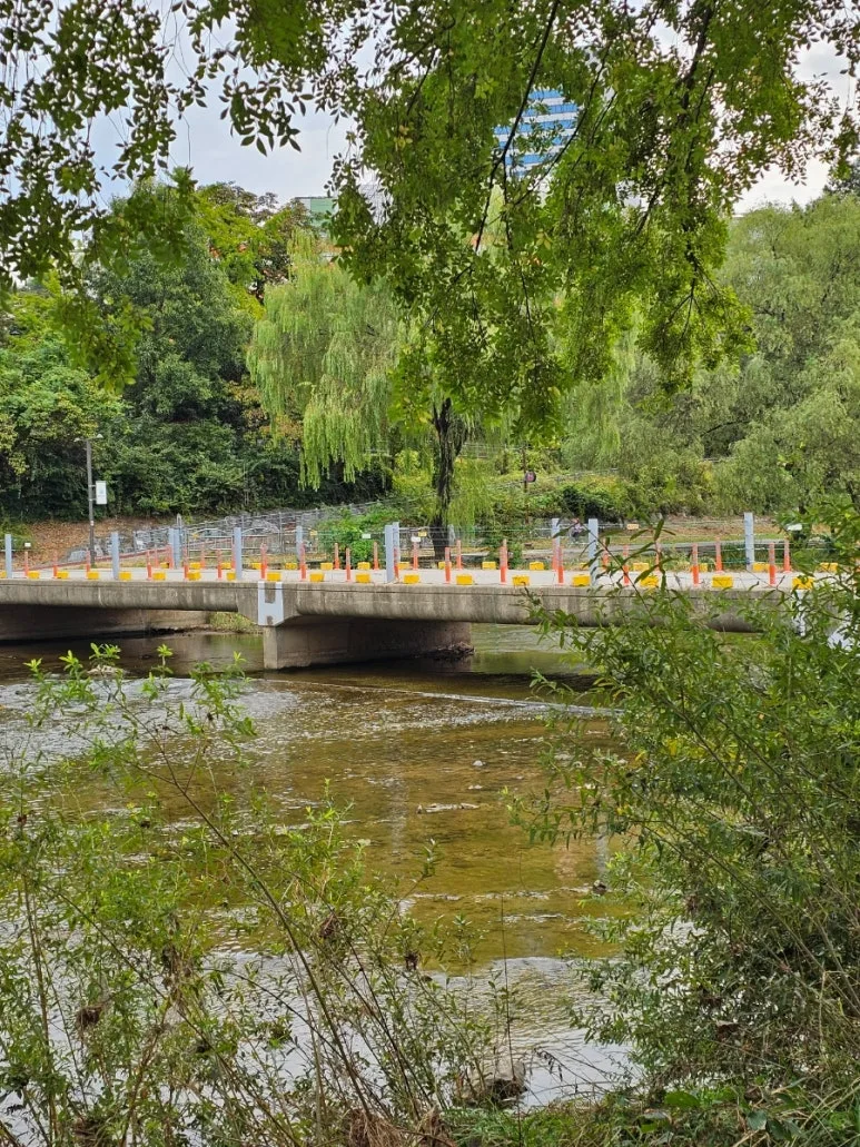 20241006%EF%BC%BF085638.jpg?type=w773