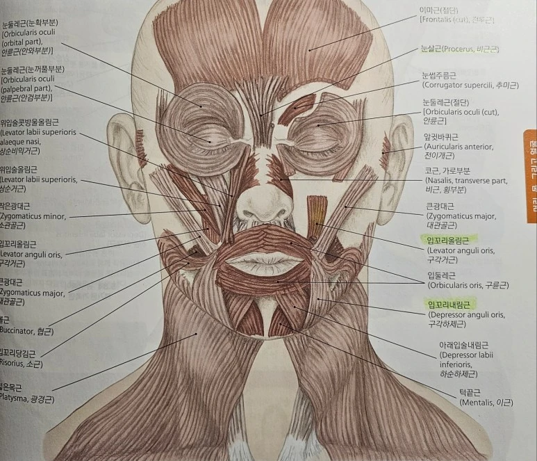 %EC%96%BC%EA%B5%B4.jpg?type=w773