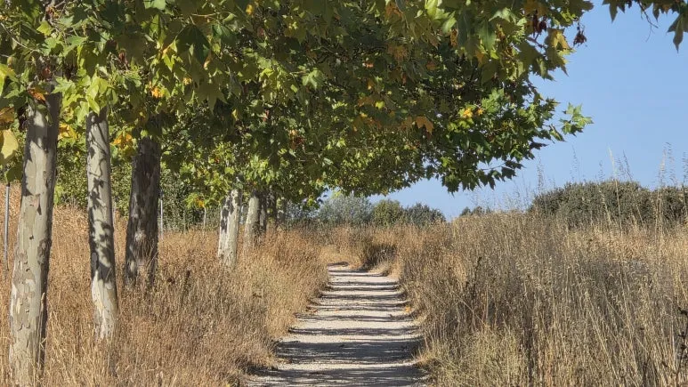 1759721744857.jpg?type=w773