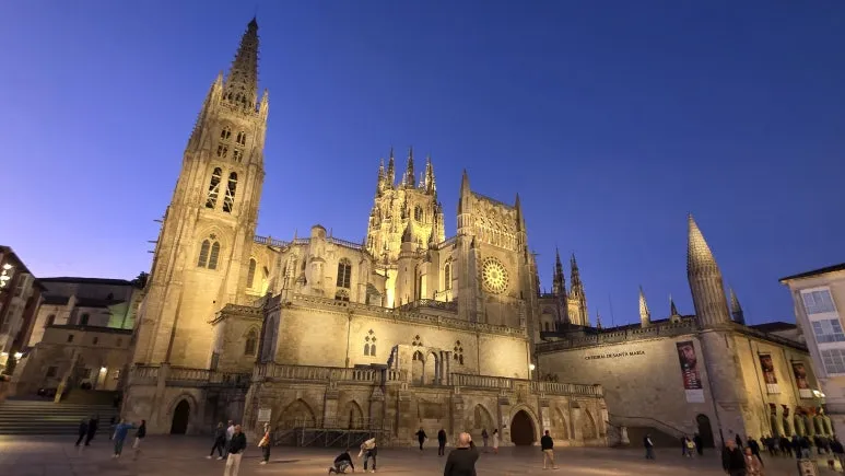 1759256841776.jpg?type=w773