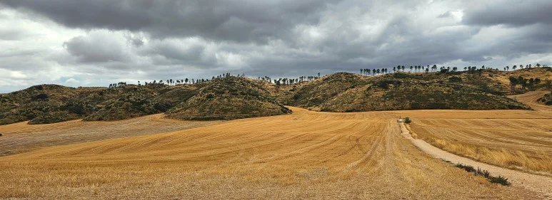 SE-3a65a576-39e2-4d44-8ac5-86c9c748d67d.jpg?type=w773