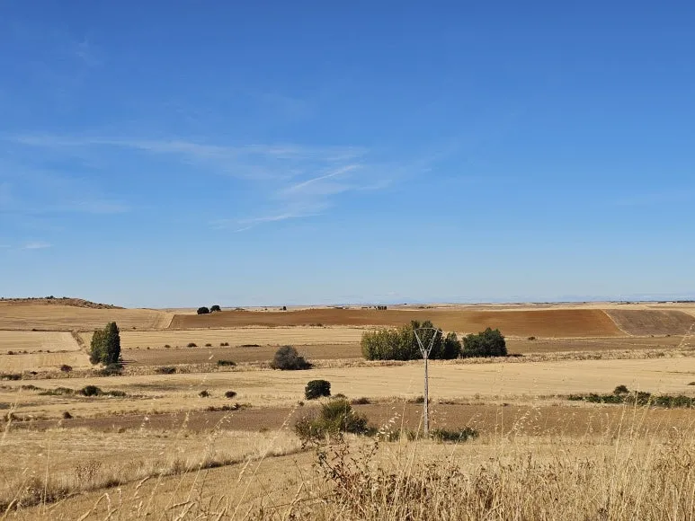 20251004_125028.jpg?type=w773