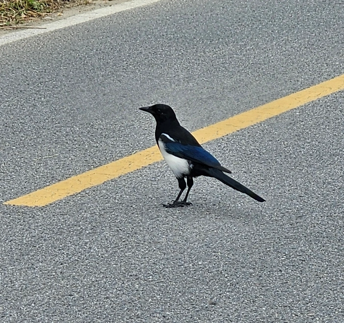 SE-b9b8c026-ef9f-4b09-ab3d-fc957a2cc950.jpg?type=w1