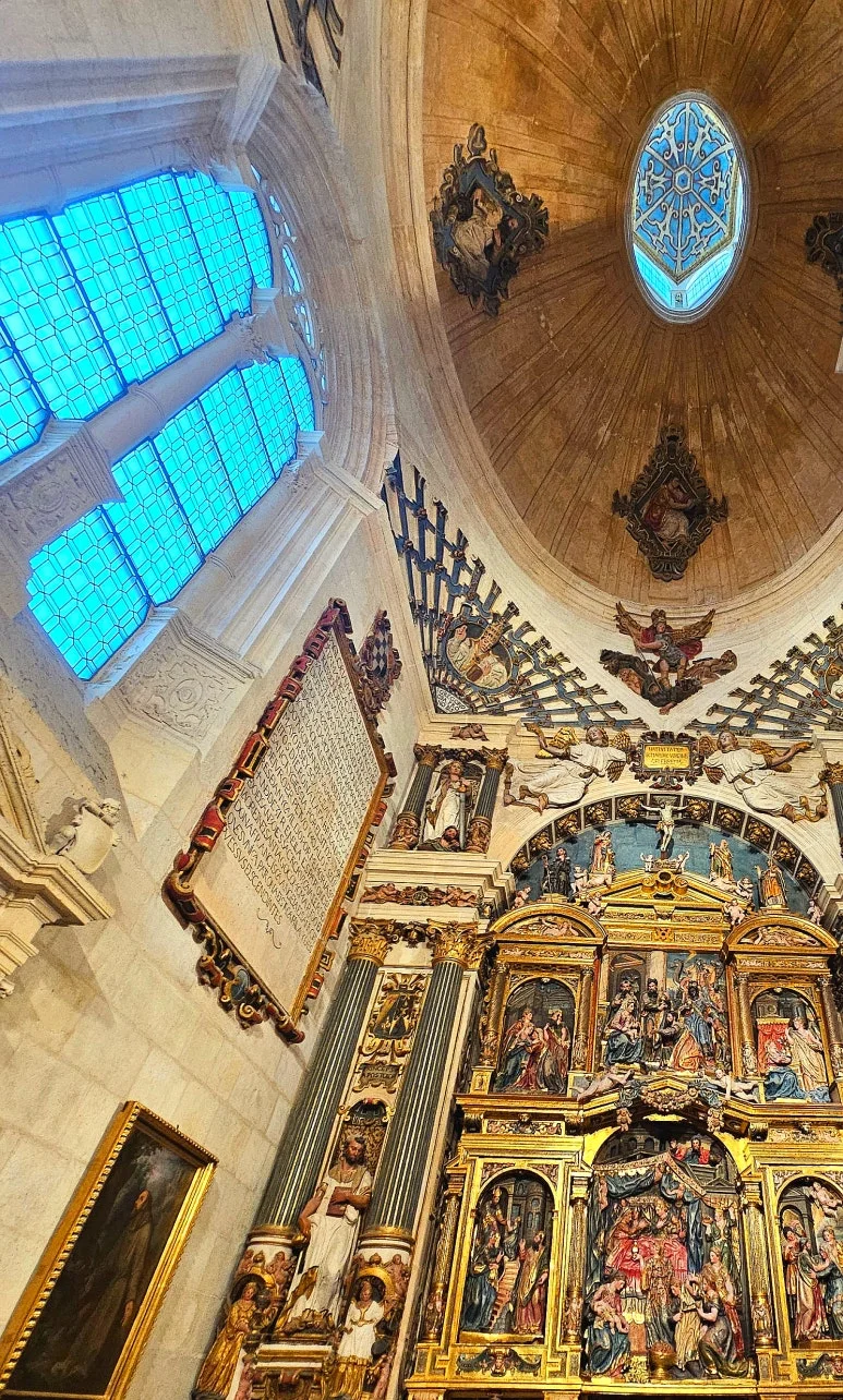 SE-2de7f28d-d3da-4837-8063-79c8978eaff8.jpg?type=w773